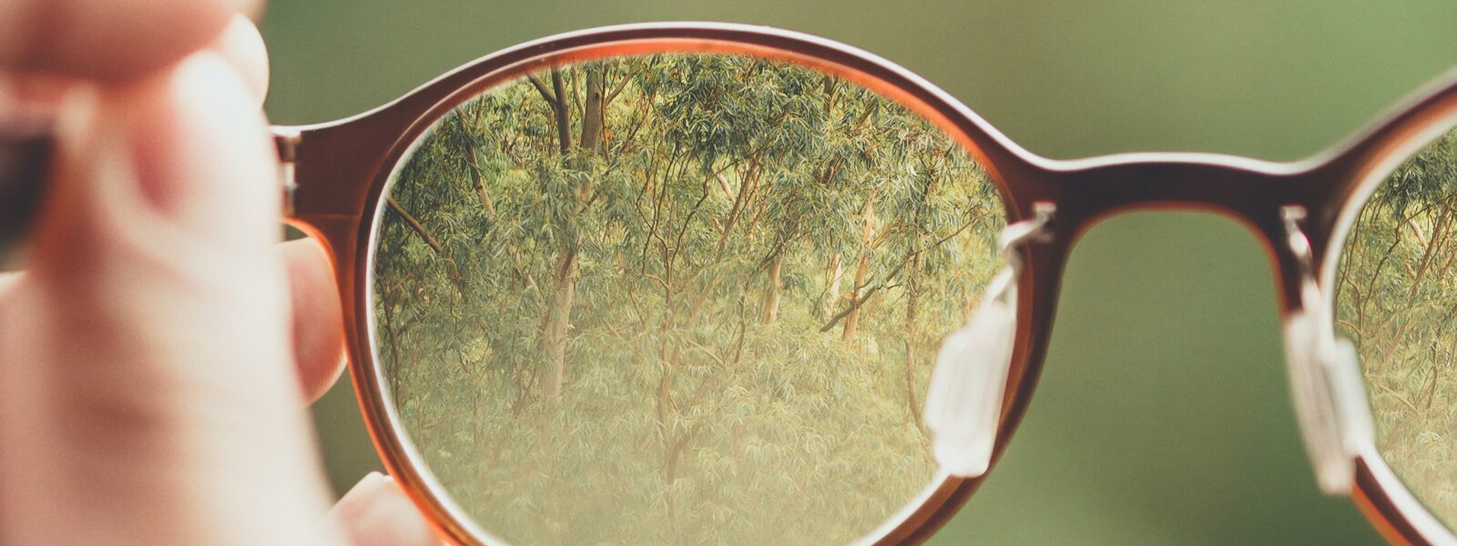 Der Blick durch eine Brille. Die Brillengläser zeigen einen Wald, drumherum ist alles unscharf